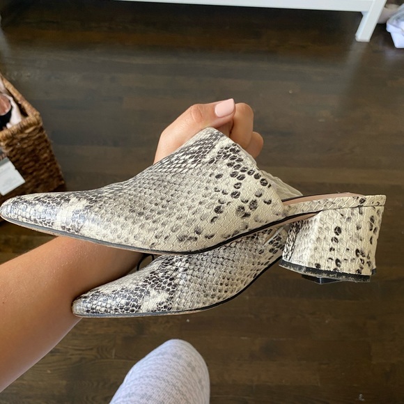 steve madden simone mules leopard